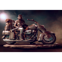 Road Girl Rat Bike