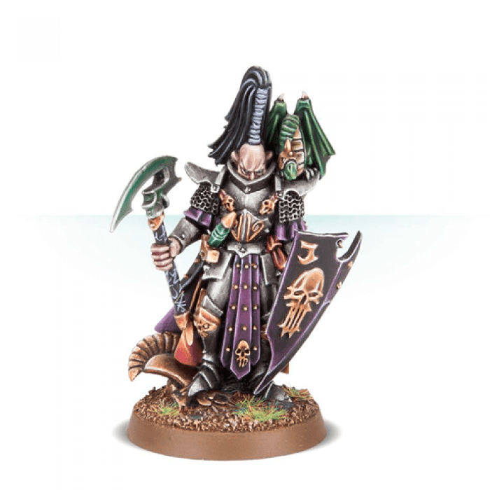 Dark Elf Dreadlord with Great Weapon