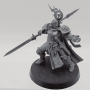 Knight-Questor Larissa Shadowstalker