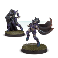 Dark Elf Assassins