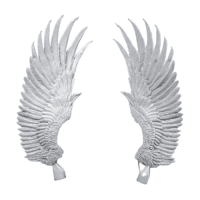 Blood Angels Sanguinius Wings