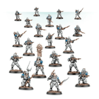 Solar Auxilia Lasrifle Section