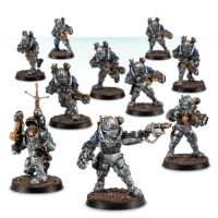 Solar Auxilia Veletaris Storm Section