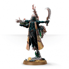 Dark Eldar Haemonculus