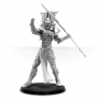 Eldar Avatar with Spear