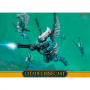 Eldar Swooping Hawks