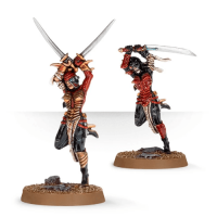 Death Cult Assassins