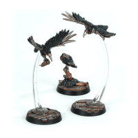 Cawdor Sheen Birds