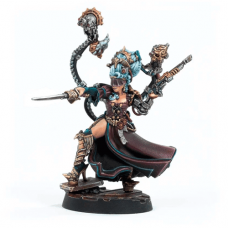 Lady Credo, Rebel Lord