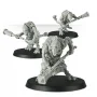 Fimir Warriors