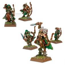 Waywatchers led by Waywatcher Highborn
