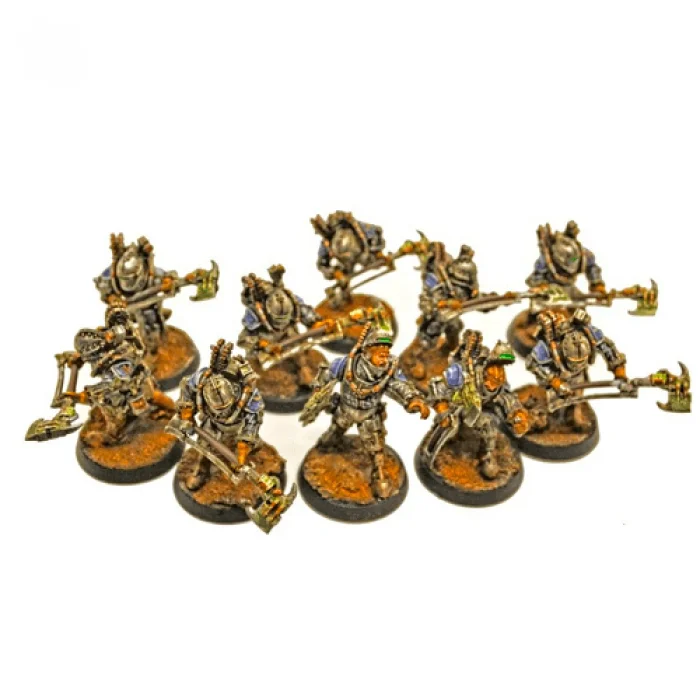 Solar Auxilia Veletaris Storm Section with Power Axes