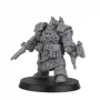Primus Medicae in Cataphractii Armour Limited Edition