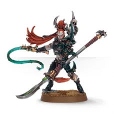 Dark Eldar Succubus