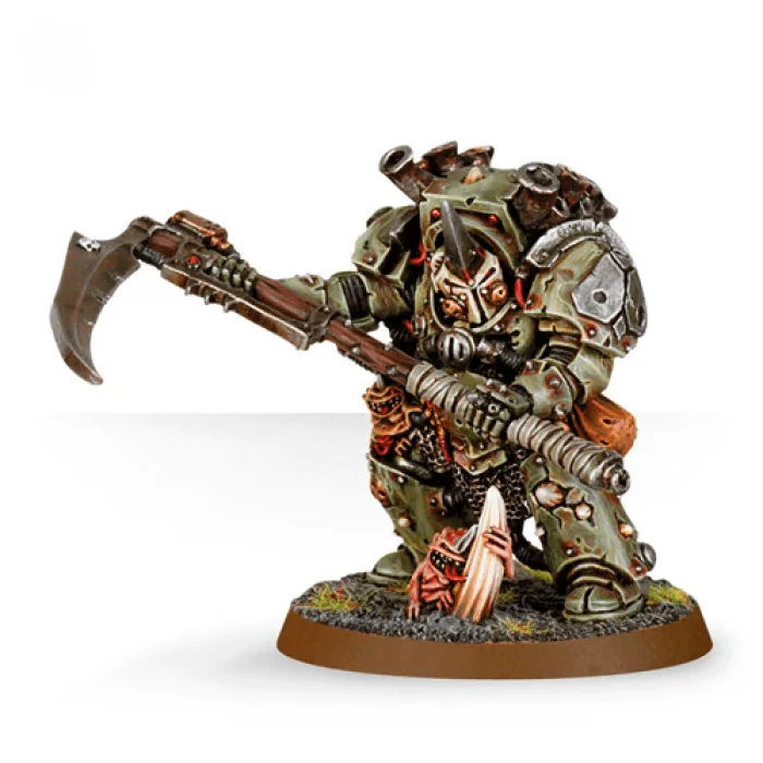 Typhus