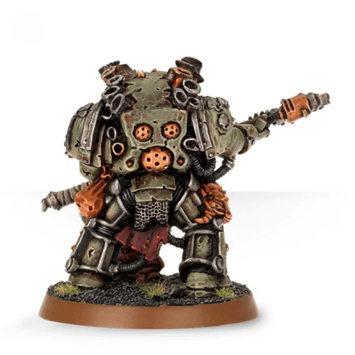 Typhus