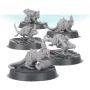 Cawdor bomb delivery rats