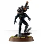 Culexus Assassin