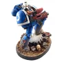 Imperial Space Marine
