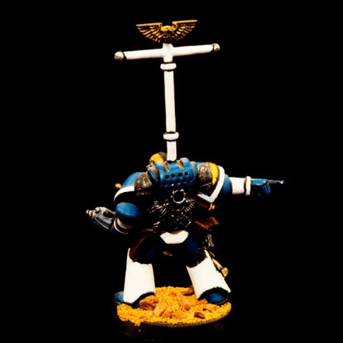 Space Marine Veteran Sergeant