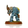 Rune Priest in Terminator Armour