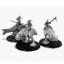 T'au Kroot Knarloc Riders