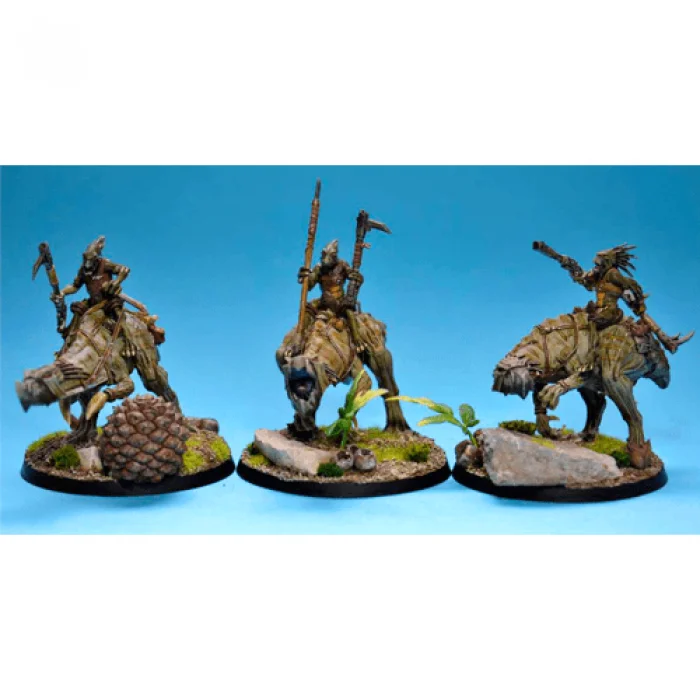 T'au Kroot Knarloc Riders