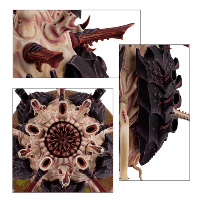 Tyrannocyte